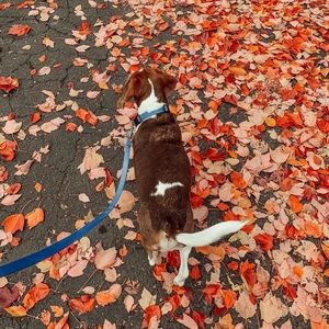 Meet your Posher, Bethany